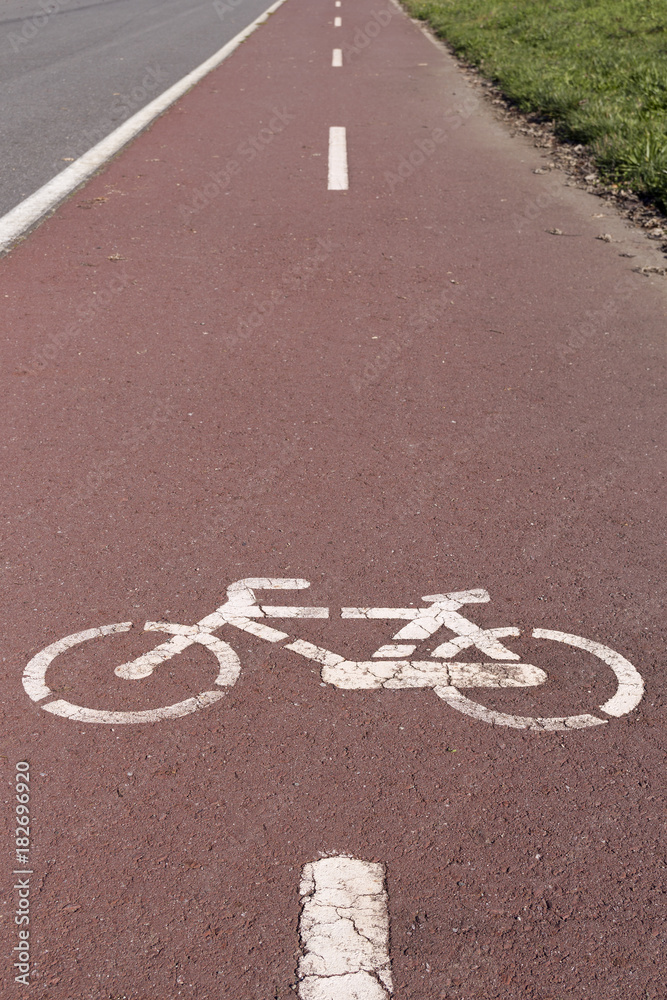 Obraz premium Paced bicycle line on road