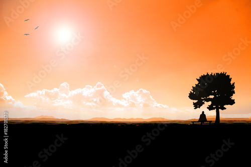 Silhouette Woman sitting on a chair under a tree Scenic view of nature and sunset.