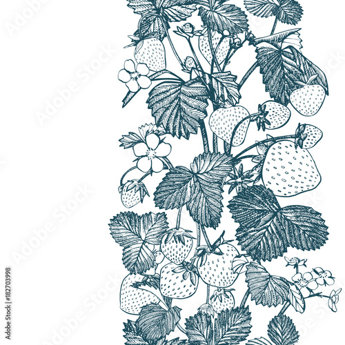 Strawberry seamless pattern. Isolated hand drawn illustration on white background. Organic healthy food.