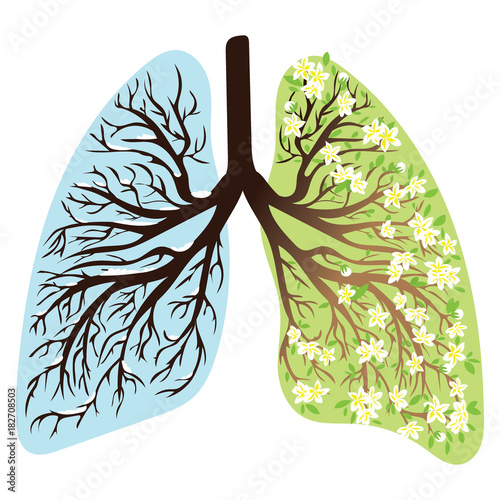 Human lungs. Respiratory system. Healthy lungs. Light in the form of a tree. Line art. Drawing by hand. Medicine.