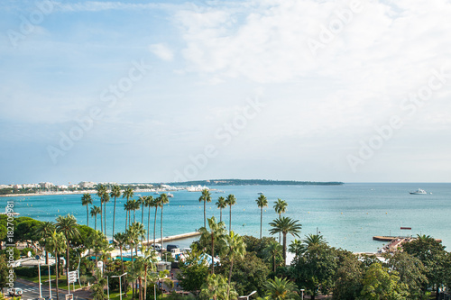 View of the sea and palm trees, top view. Nice, Cannes, Monte Carlo