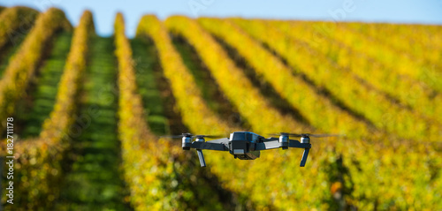 Drone flying above beautiful landscape with vineyards