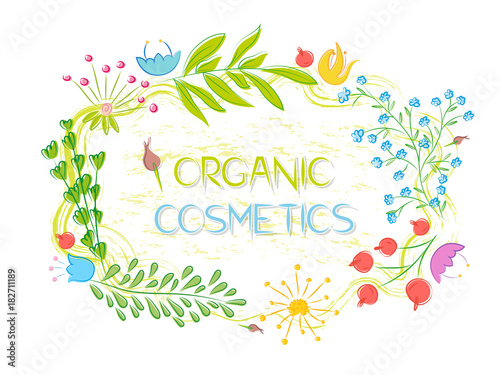 vector design template for organic cosmetics. frame of flowers and herbs. mockup