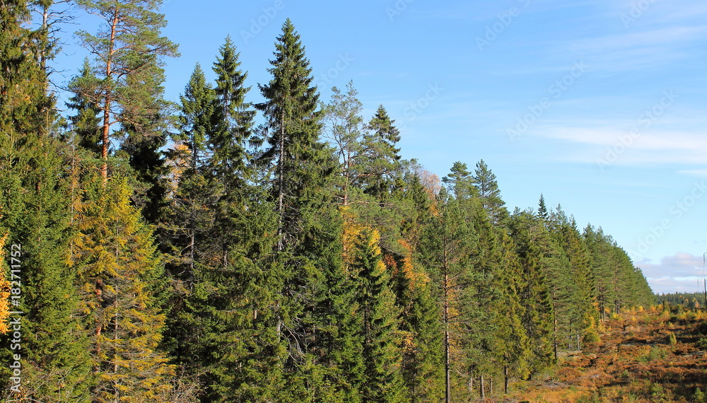 The Edges of the Bergslagen Forest,Sweden The Edges of the Bergslagen Forest,Sweden