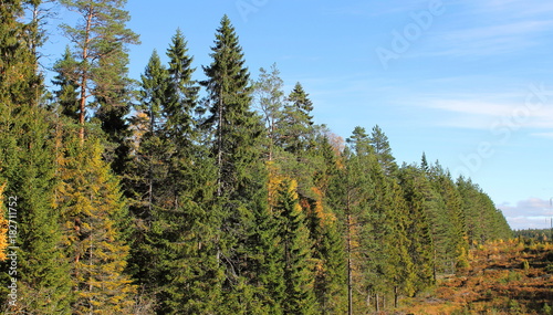 The Edges of the Bergslagen Forest,Sweden