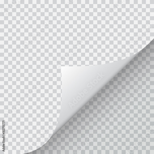 Fotografia, Obraz Shape of bent angle is free for filling. Vector Illustration.