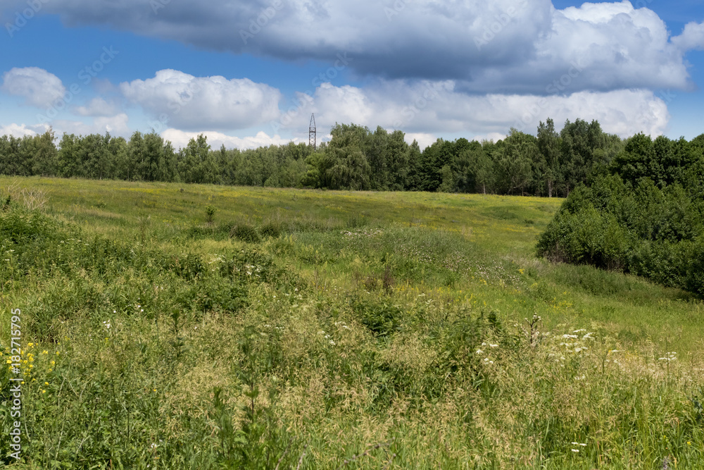 Acrocephalus palustris. Nest Habitat of Marsh Warbler. Landscape.