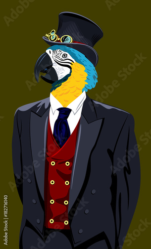 Portrait of macaw parrot in the men's business suit and hat