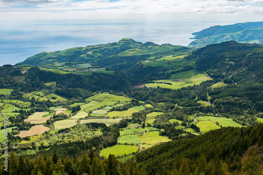 green lush pastures on san miguel azores