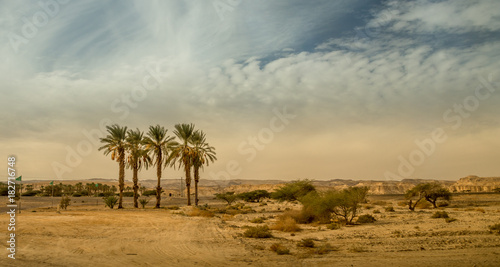 Tableau sur toile The Negev Desert. Landscape of the desert. Journey.