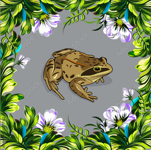Frog in flowers