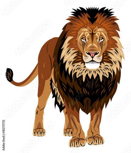 Portrait of a standing lion