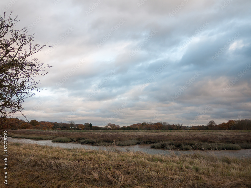 Fototapeta premium empty autumn fall bare stream landscape background