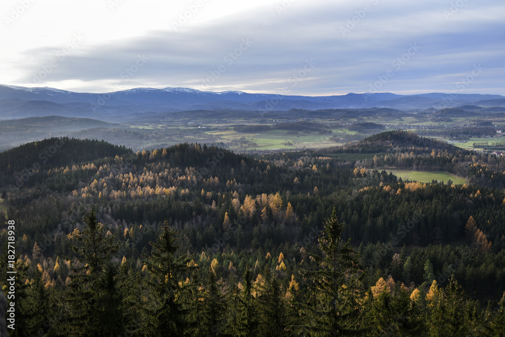 Autumn mountain forest landscape. Giant Mountains, Poland
