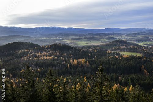 Autumn mountain forest landscape. Giant Mountains, Poland