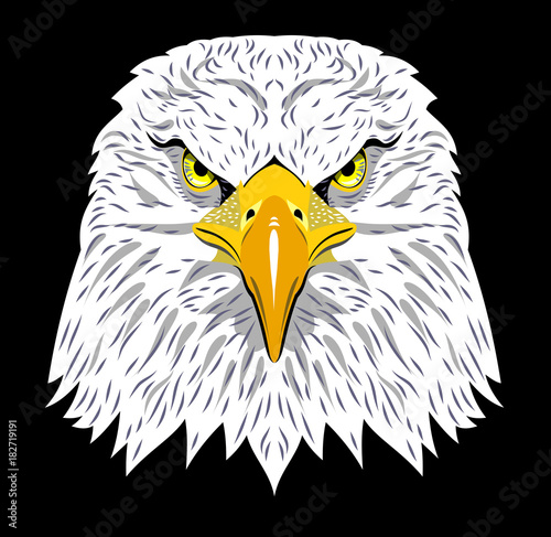 Portrait of an eagle 