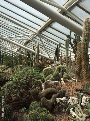 Barbican's Conservatory