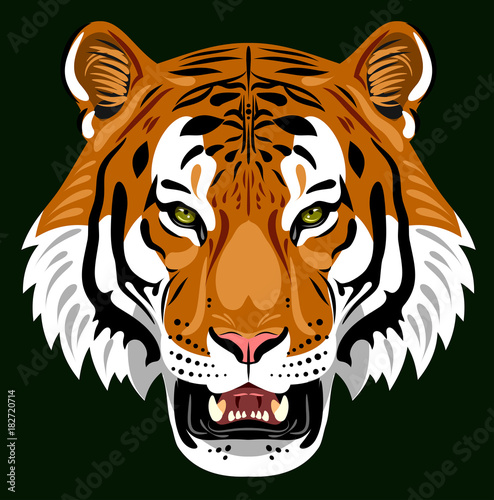 Fototapeta Naklejka Na Ścianę i Meble -  Portrait of a growling tiger