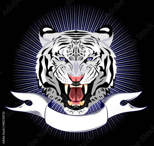 Fototapeta Naklejka Na Ścianę i Meble -  Portrait of a growling tiger on a banner background