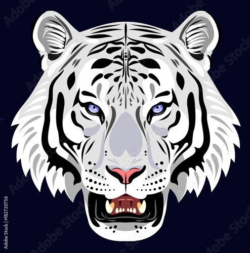 Fototapeta Naklejka Na Ścianę i Meble -  Portrait of a growling tiger