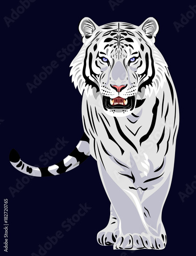 Portrait of a growling tiger