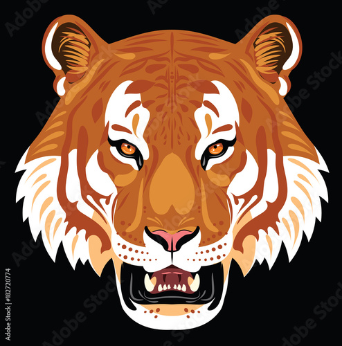 Fototapeta Naklejka Na Ścianę i Meble -  Portrait of a growling tiger