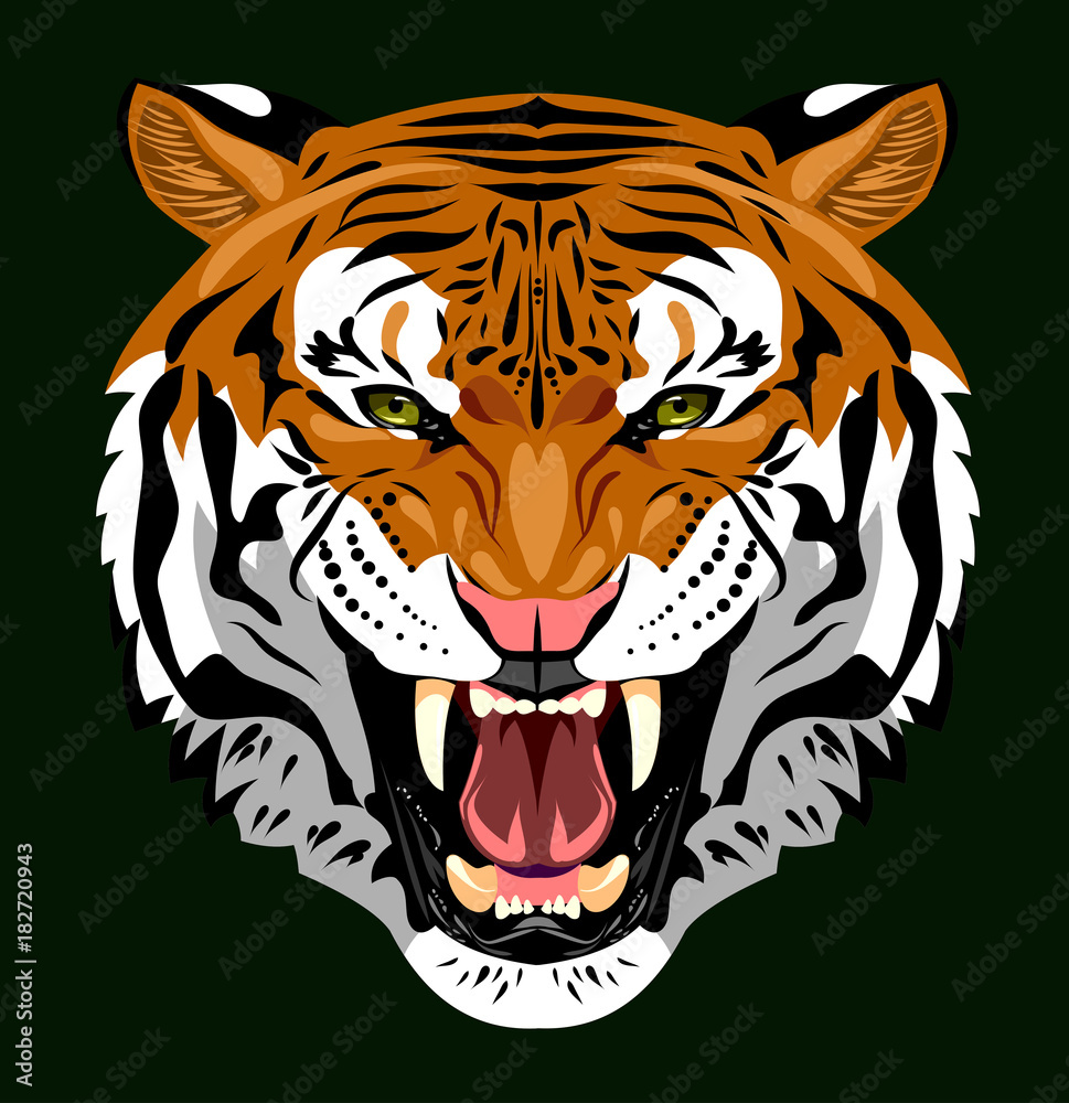 Portrait of a growling tiger