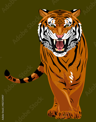 Portrait of a growling tiger