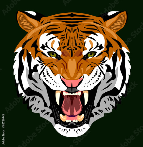Fototapeta Naklejka Na Ścianę i Meble -  Portrait of a growling tiger