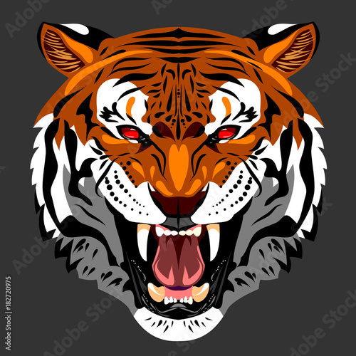 Fototapeta Naklejka Na Ścianę i Meble -  Portrait of a growling tiger
