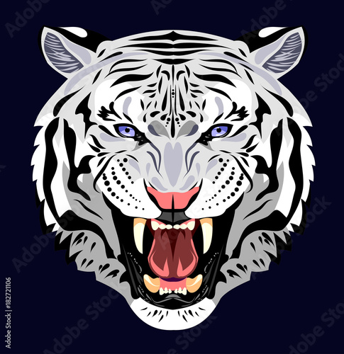 Fototapeta Naklejka Na Ścianę i Meble -  Portrait of a Ragged Tiger
