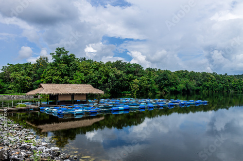 Irrigation pond