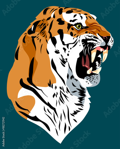 Fototapeta Naklejka Na Ścianę i Meble -  Portrait of a Ragged Tiger