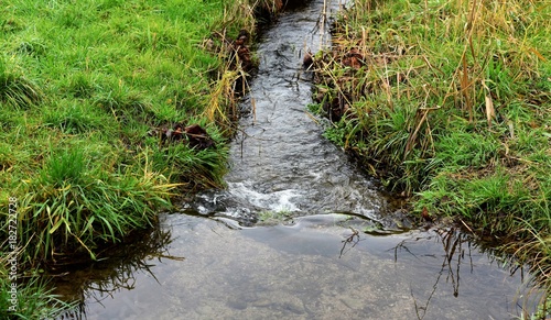 Foto petit ruisseau
