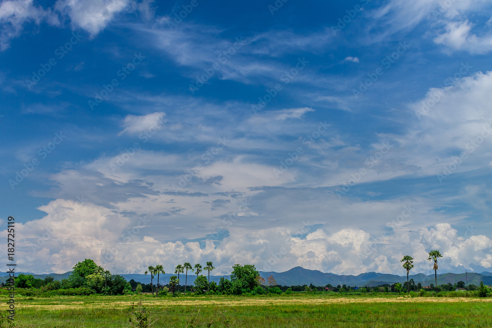 Naklejka premium Background of nature