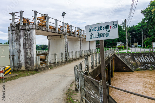 Wallpaper Mural Irrigation canal Torontodigital.ca