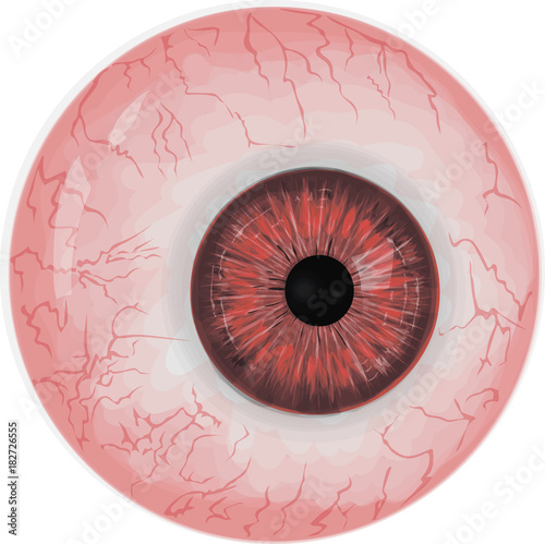 Realistic human eyeball with red iris