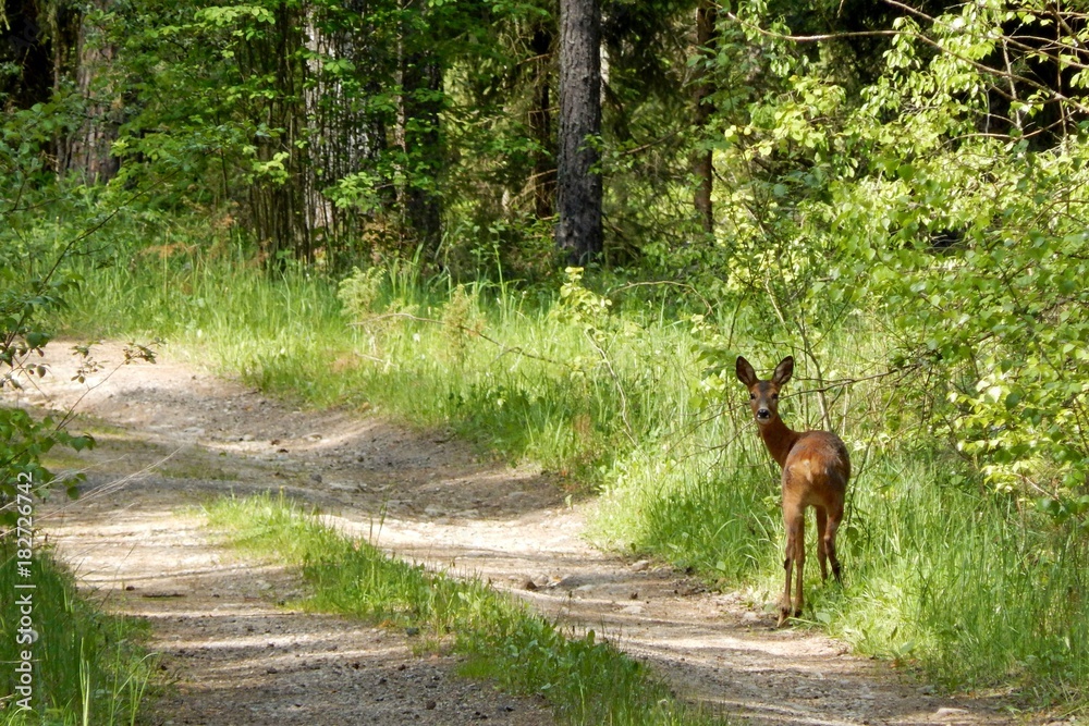 an unexpected meeting