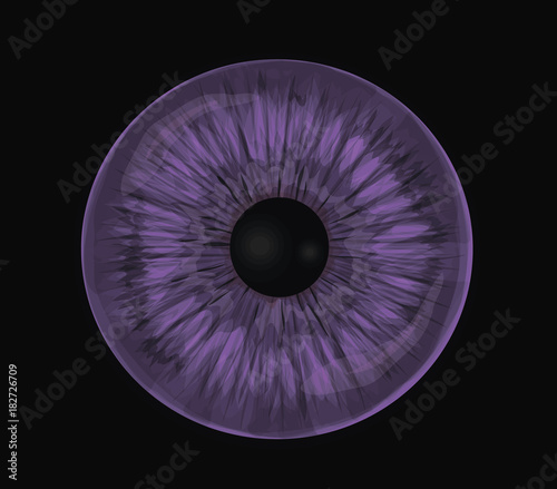Violet eye iris - Detailed vector