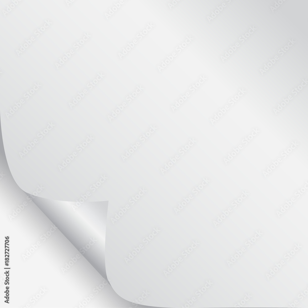 Blank sheet of paper with page curl and shadow
