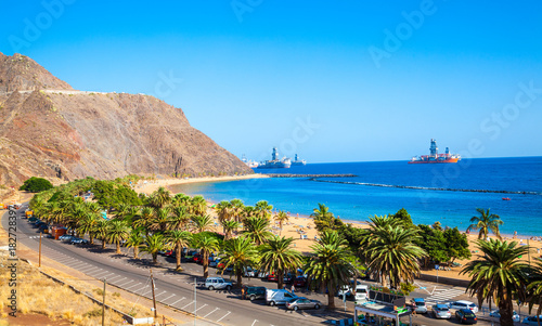 Beautiful  landscape with palm trees on Teresitas beach  the famous place of Tenerife in Canary island  Spain