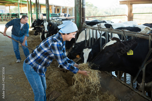 Smiling female feeding cows on farm © JackF