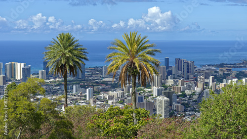 Panoramic view from Mt. Tantalus of downtown Honolulu, Oahu, Hawaii © teesixb