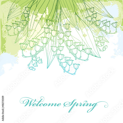 Vector bouquet with outline Lily of the valley or Convallaria flower and leaf in pastel green and blue on the white background. Ornate May bells flowers in contour style for greeting spring design.