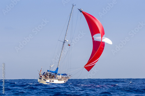Hochseeyacht unter Spinaker