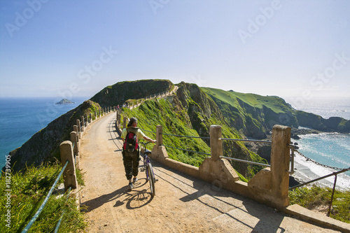 Landschaft auf der Insel Sark, Kanalinseln, Großbritannien