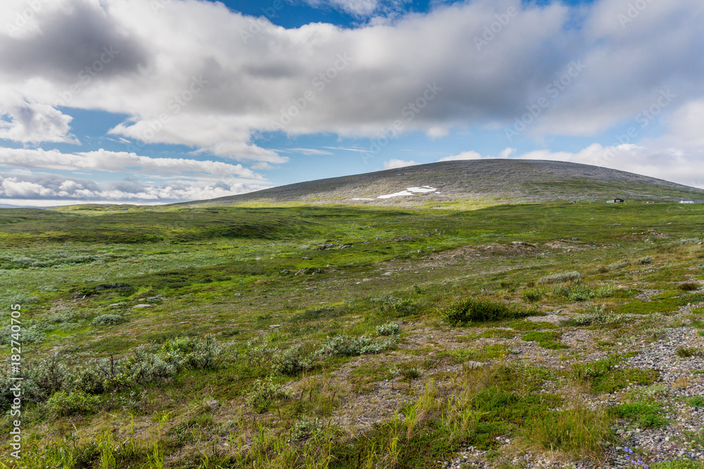 The characteristic landscape of the Arctic tundra in summer, northern Norway