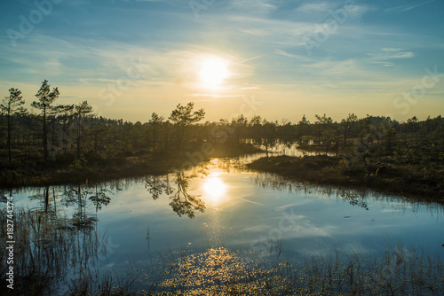 Sunset on a swamp lake, Latvia