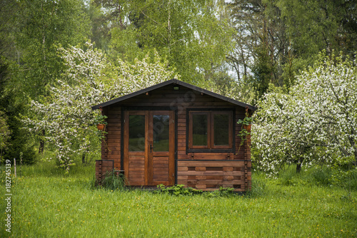 Summer cottage with blooming apple trees
