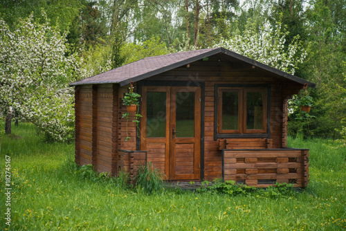 Summer cottage with blooming apple trees
